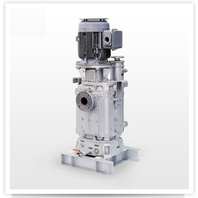 Vertical Dry Vacuum Pump for Extrus...